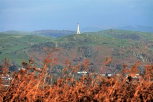 kiln dried logs Ulverston - LA Kiln Dried Logs